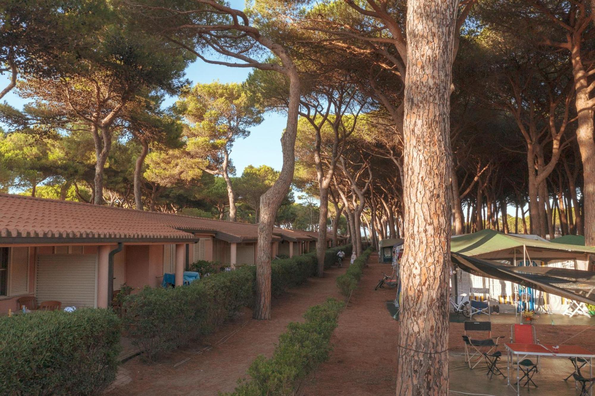 Gitavillage Argentario Albinia Exterior foto The village